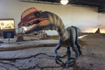 St. George Dinosaur Discovery Site at Johnson Farm
