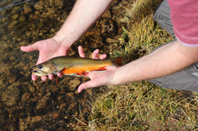 Fishing Utah