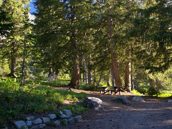 Albion Basin Campground