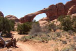 Devils Garden Campground – Arches National Park