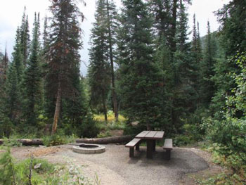 Ledgefork Pines Campground