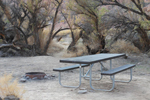 Goldbar Campground