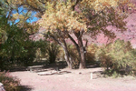 Hittle Bottom Campground