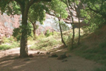 Hunter Canyon Camping Area