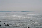 Great Salt Lake State Park