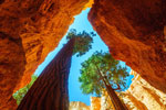 Bryce Canyon