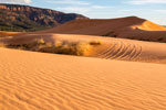 Coral Pink Sand Dunes