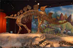Utah Field House Of Natural History & State Park