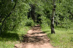 Hodges Canyon ATV Trail # 028 | Logan Canyon