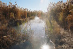 Inlet Hot Springs