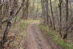 Mantua ATV Trails - Willard Peak Road