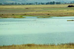 Salt Creek Waterfowl Management Area