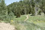 ATV Trail # 255 - Logan Canyon