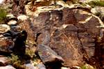 Discovering Utah’s Ancient Rock Art