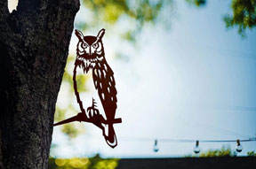 Garden Decor