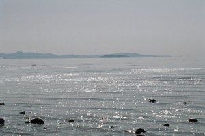 Antelope Island State Park