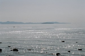 Antelope Island State Park