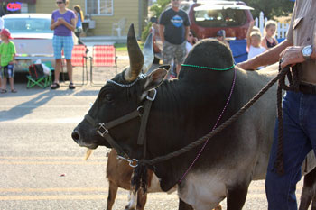 Bear Lake Raspberry Days