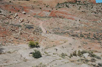 Arches National Park