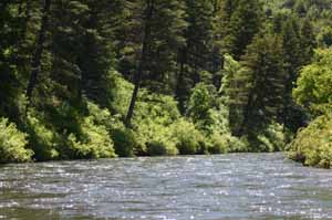 Floating The Provo River