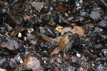 Obsidian in the Black Rock Desert, Millard County