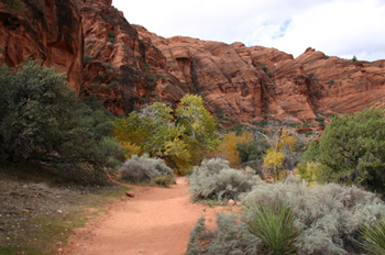 Red Reef Trail - Red Cliffs Recreation Area
