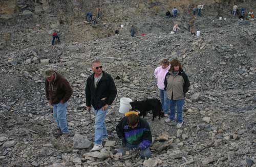 Trilobite Collecting At U-DIG FOSSILS