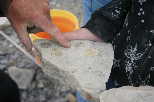 Trilobite Collecting At U-DIG FOSSILS