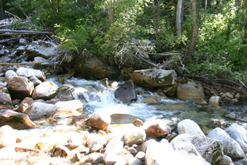 Fishing in Utah’s Creeks