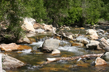 Fishing in Utah’s Creeks