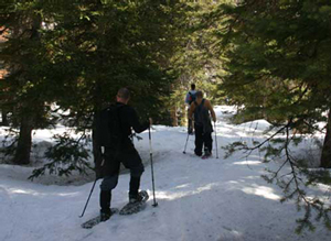 Places to Snowshoe in Utah