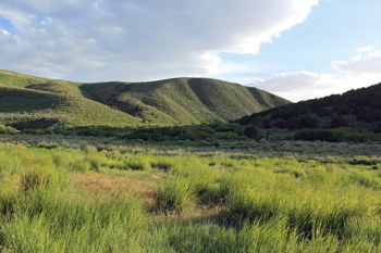 Vernon Reservoir