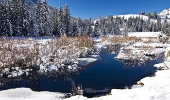 Winter Fly Fishing Utah