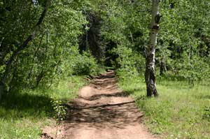 Bear Lake ATV Trails - Shoshone ATV Trail System