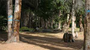 Lake Canyon Campground And ATV Trail System