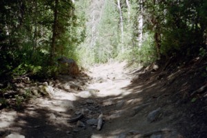 Little Bear ATV Trail | Logan Canyon