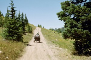 ATV Trail # 255 - Logan Canyon