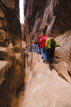 Arches National Park