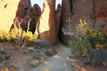 Sand Dune And Broken Arch Trail - Arches National Park
