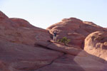 Tapestry Arch Trail - Arches National Park