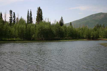 Payson Lakes