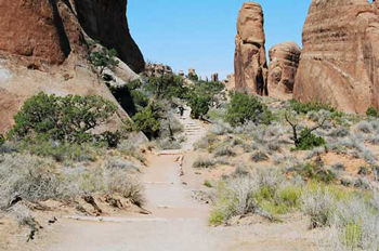 Arches National Park