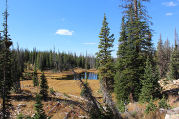 Hike to Long Lake - Utah's Uinta Mountains