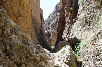 The Box Canyon Hiking Trail - Maple Canyon Utah