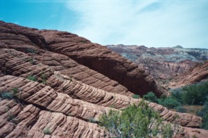 Hiking Snow Canyon