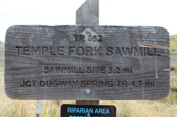 Temple Fork Sawmill Trail Logan Canyon Utah