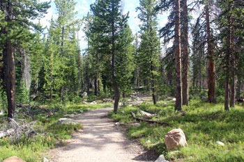 Wall Lake Uinta Mountains Utah