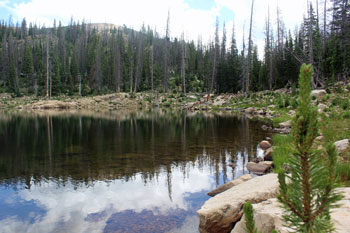 Wall Lake Uinta Mountains Utah