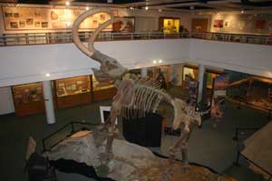 The College of Eastern Utah Prehistoric Museum