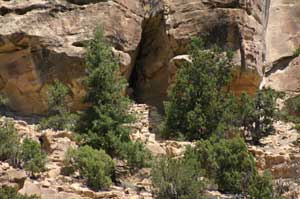Nine Mile Canyon